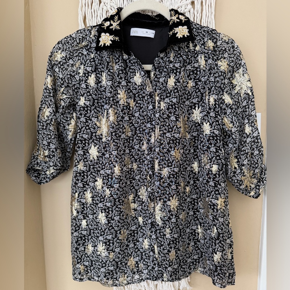 ZARA SPARKLY VELVET EMBROIDERED DRESS